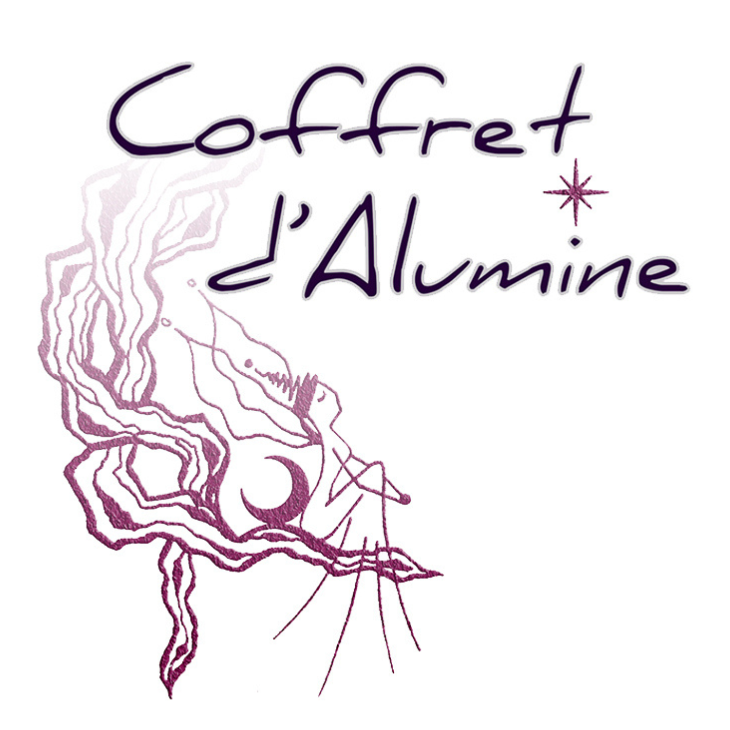 Logo Coffret Alumine